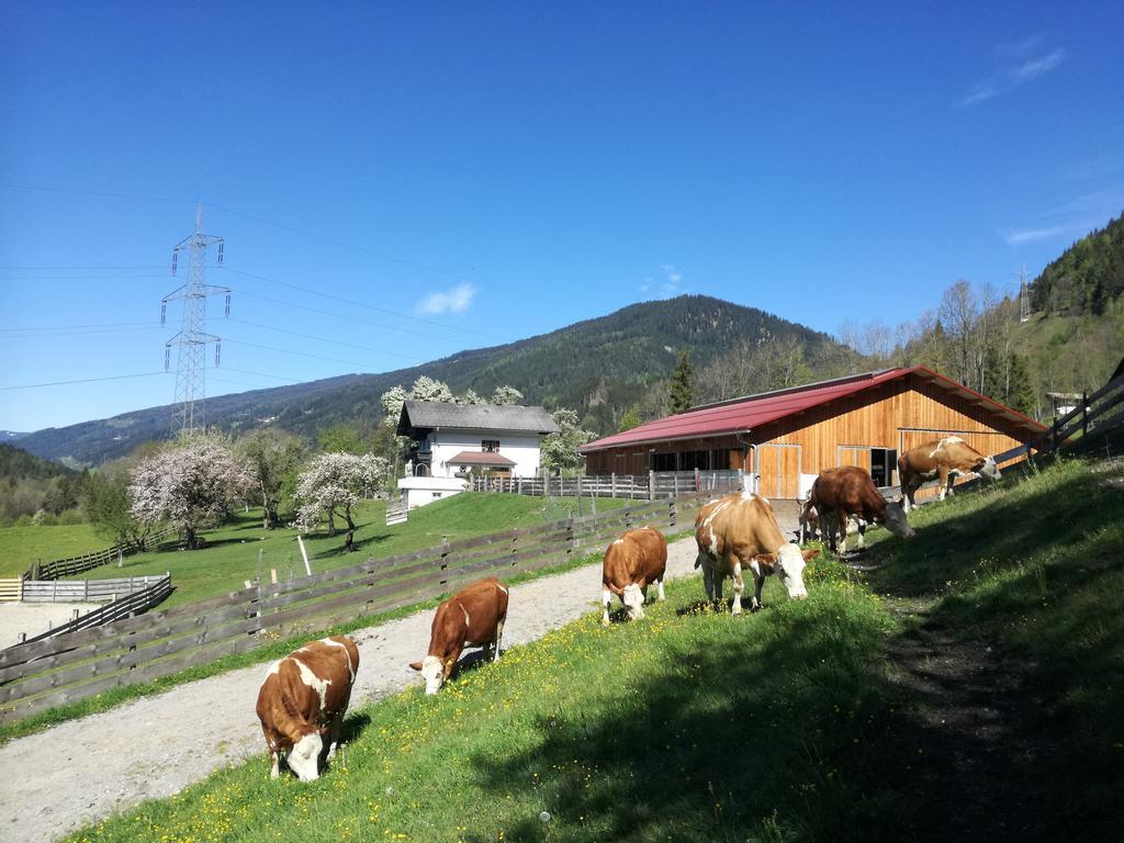Saumerhof Schladming Exterior foto